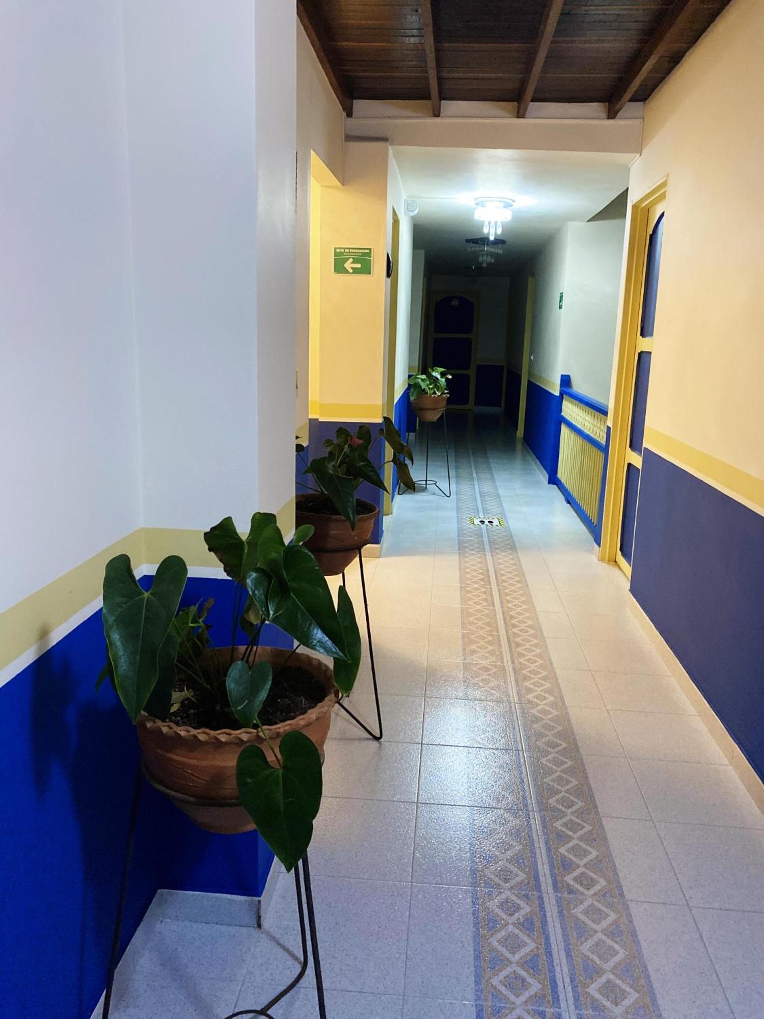 Hotel Dorado Jardin Exterior photo